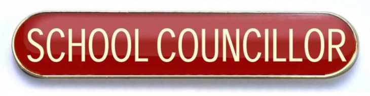 School Councillor
